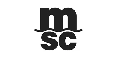 Cargo2B - Grupaj containere din China 31 MSC