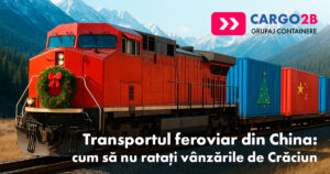 Blog 61 Rail LCL Craciun